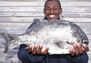 Galjoen van 2.25 kg by Brandfontein